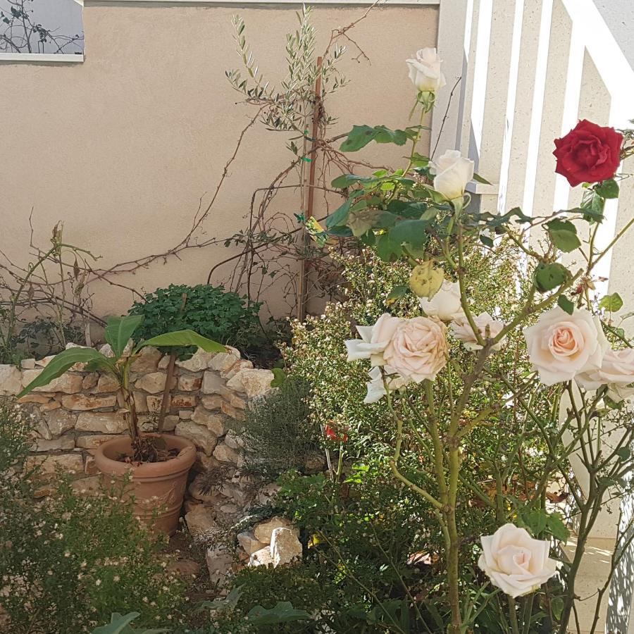 Hamo Apartments & Soba لومباردا المظهر الخارجي الصورة